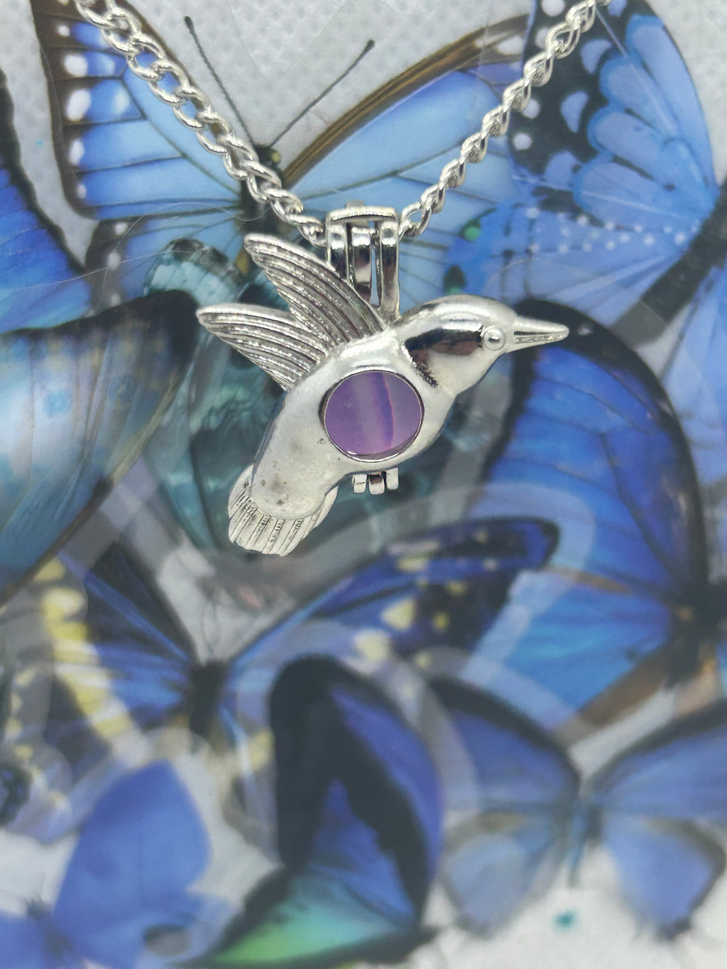 Humming Bird Necklace with an incased is a glowing bead