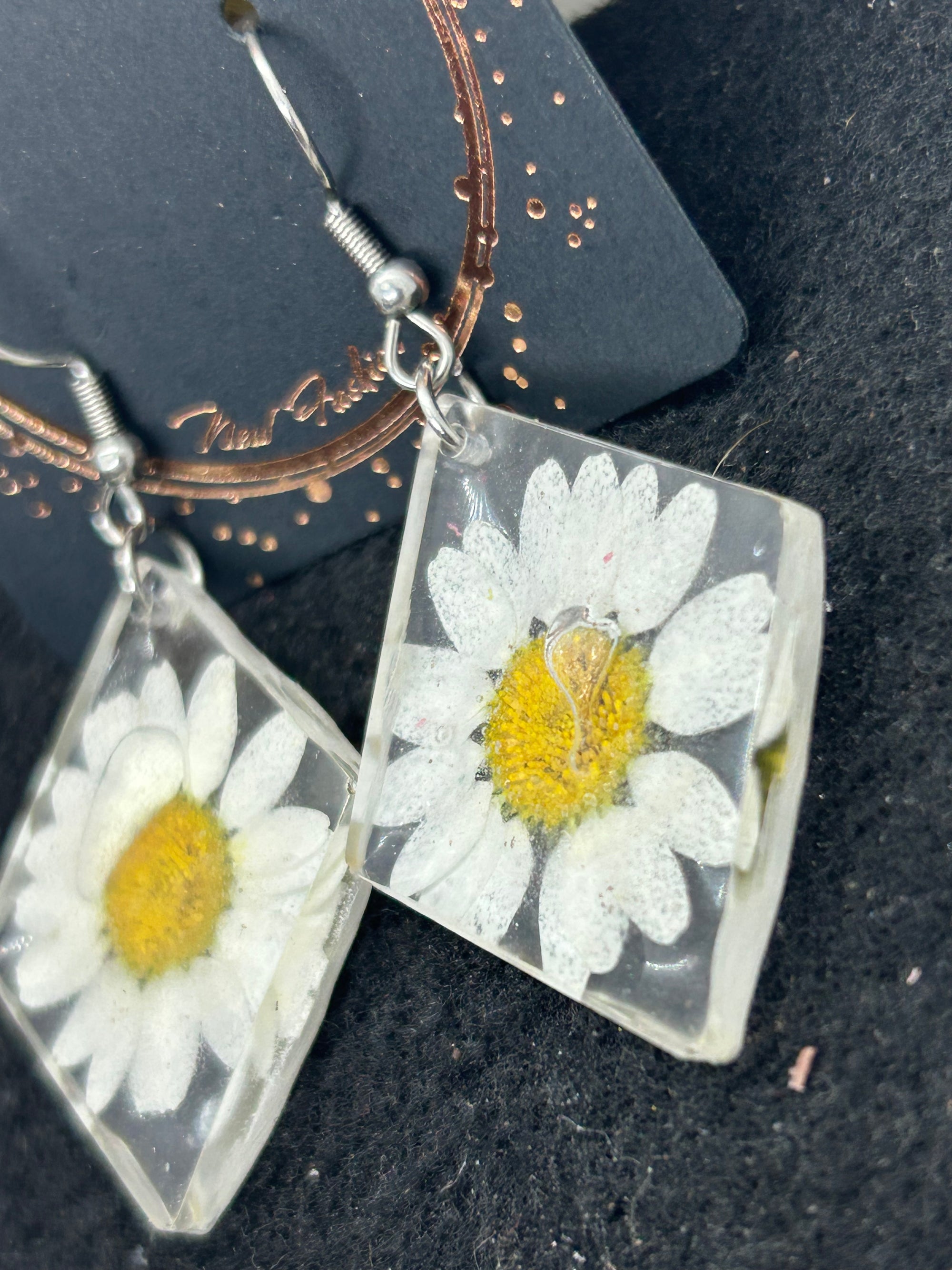 Dried Daisy Earrings
